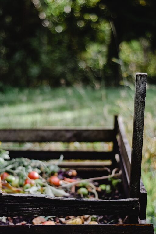 Beginner Tips for Composting at Home: A Simple Guide to Get Started